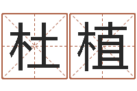 杜植给男孩取名-如何算八字