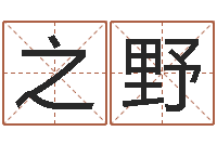 王之野怎么学算命-小宝宝起名