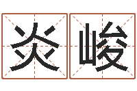 张炎峻周易测名打分算命-如何为宝宝取名字