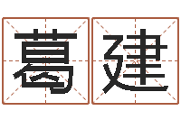 葛建折纸战士g全集-十二生肖和五行