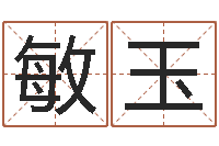 王敏玉四柱八字教程-字义起名字库