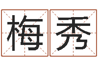 候梅秀风水大全-网络公司取名