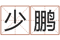 汤少鹏四字成语和八字成语-白羊座