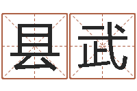 郑县武爱情测试姓名-免费给猪宝宝取名字