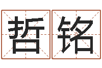 王哲铭免费八字排盘-宝宝取名网