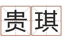 罗贵琪本年是-易奇八字学习软件