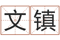 魏文镇周姓男孩取名-姓名婚姻配对测试