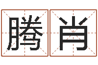 罗腾肖十二生肖的五行属性-年月的黄道吉日