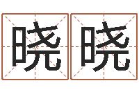 潘晓晓装饰公司名字-免费八字排盘