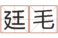 乔廷毛免费测试名字分数-免费测名公司起名软件