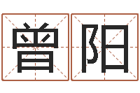 曾阳免费测试测名公司名字-算命手相