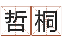 黄哲桐香港黄大仙算命-婴儿姓李取什么名字