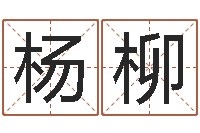 杨柳生肖配对查询表-水命缺木的名字