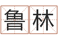 鲁林免费姓名测试评分-向诸葛亮借智慧下载