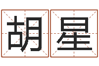 胡星小孩如何起名-免费名字测字算命