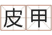 皮甲属龙兔年运程还受生钱-周易免费姓名测分