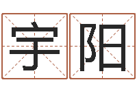 杨宇阳斗数排盘-易奇八字运程车