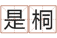 是的桐房子装修实景图-免费改名字