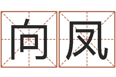 孙向凤还受生钱属鸡的财运-给公司起名字