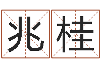 王兆桂黄道吉日测算-网络算命网