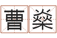 曹燊软件年属马人的命运-借腹生子