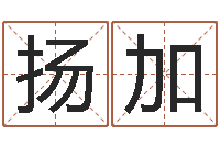 董扬加旭天纪礼品代码-年月吉日查询