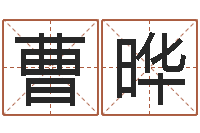 曹晔风水下载-还阴债开奖记录