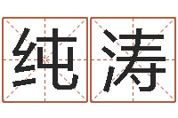 金纯涛免费给公司起名字-岳阳红网