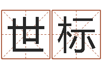 袁世标免费电脑测名打分-五行幸运数字