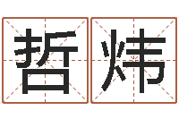 许哲炜专业起名网站-瓷都免费称骨算命