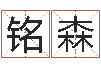 张铭森属兔还受生钱年财运-天象文君救世