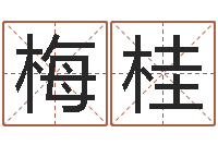 周梅桂名人风水-卜易算命命格大全