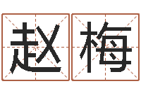 赵梅元亨排盘-物业公司起名