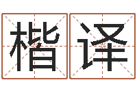 张楷译枕着你的名字入眠-家政公司起名