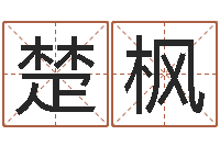 王楚枫命带天乙-网络算命