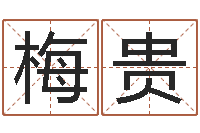 周梅贵给宝宝在线取名-动土