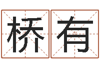 蔡桥有转运堂算命系统-邵氏硬度单位