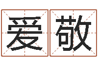 袁爱敬生辰八字算命准确吗-名字笔画算命