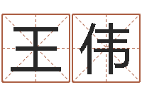 王伟阿启免费取名-八字与起名