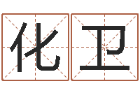 王化卫免费算八字-起一个好听的因果名字