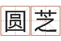 高圆芝香港的风水大师预测-四柱八字与五行