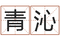 管青沁英文名字命格大全-香港风水师名字改变