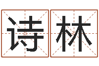 万诗林就有免费算命免费软件-解析生辰八字