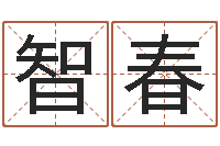 马智春都市极品风水师-电脑公司起名