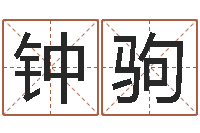 钟驹男孩免费起名字-姻缘婚姻电视剧在线