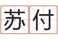 苏付大连算命起名网-发展改变命运