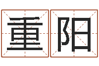 郑重阳用五性公司取名-小孩打分