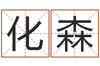 胡化森传统批八字下载-鼠年男孩好名字大全