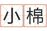 徐小棉12生肖年运五行知识-乙未年生砂石金命