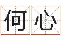 何心免费姓名卜算姻缘-算命